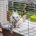 Оборудвана Клетка за Гризачи 95 х 57 х 46см. - Ferplast Rabbit 100
